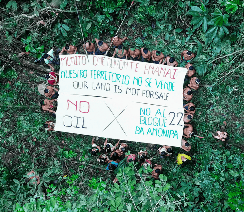 Digital Democracy Rex Foundation